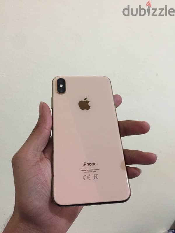 Xs max 256g 1