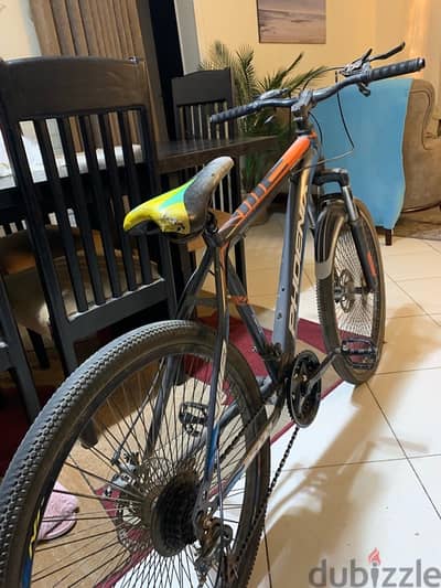 phonix bicycle for sale