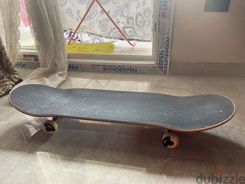 skateboard from dubai 1