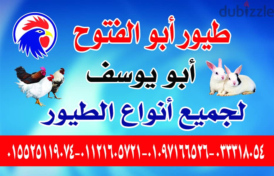 طباعة كروت شخصية و pvc و بروشور وفلاير 6