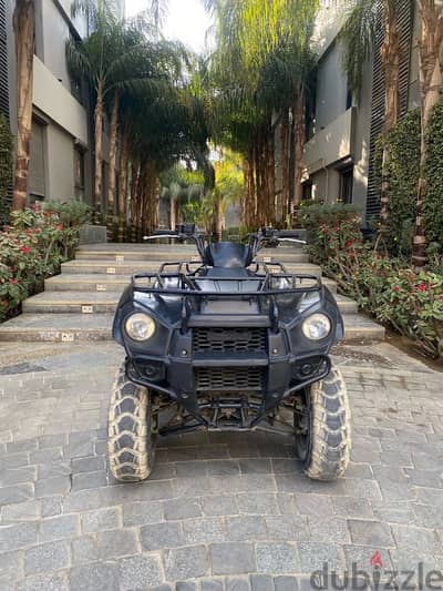 beach buggy kawasaki brute force 300