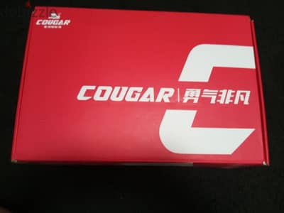 skate cougar 307