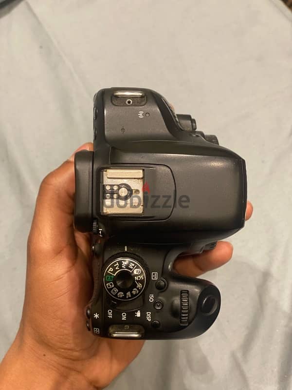 canon 800d 5