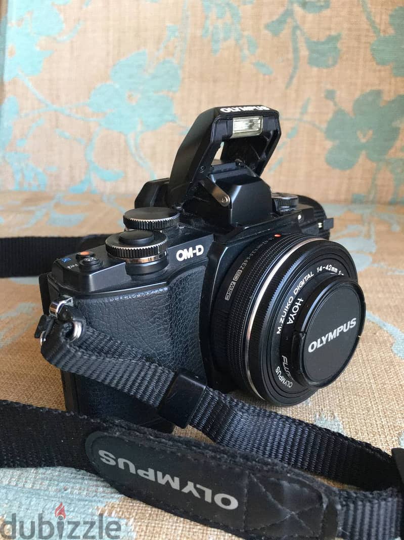 OLYMPUS OM-D E-M10 0