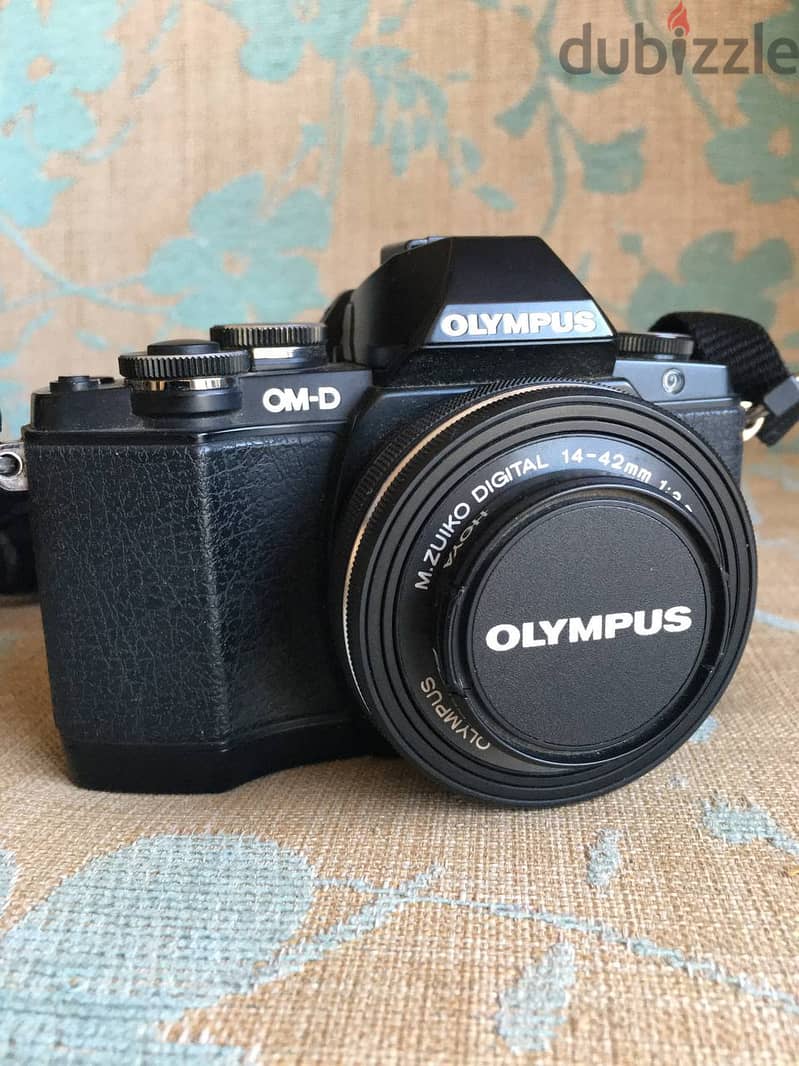 OLYMPUS OM-D E-M10 5