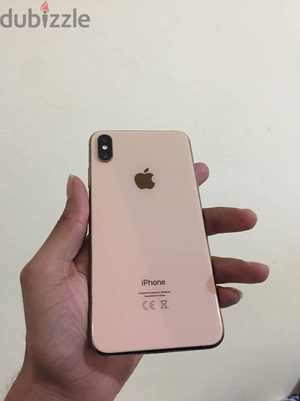 Xs max 256g 1