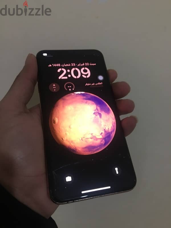 Xs max 256g 3