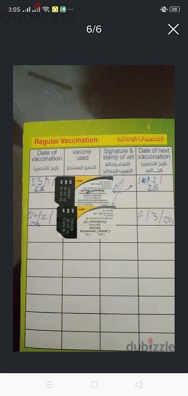 جرو بكنيز مطعم ثماني وديدان (التفاصيل والرقم جوا الاعلان) 6