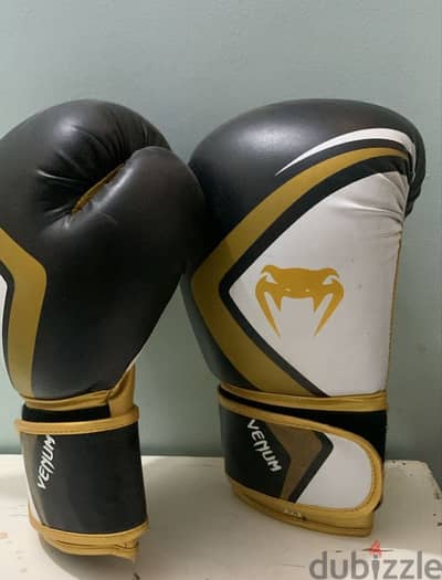 gloves kickboxing