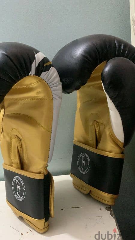 gloves kickboxing 1