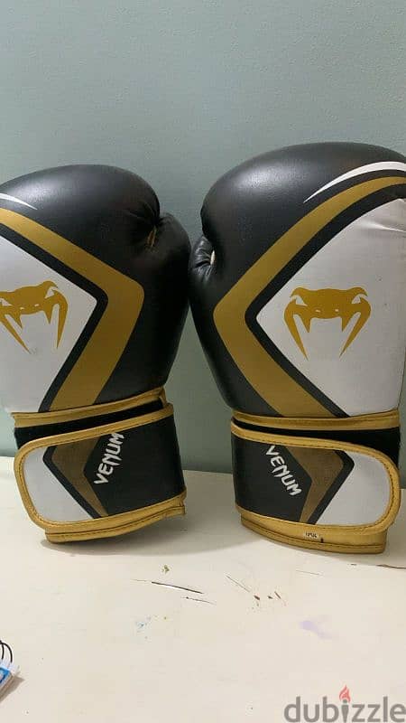 gloves kickboxing 2