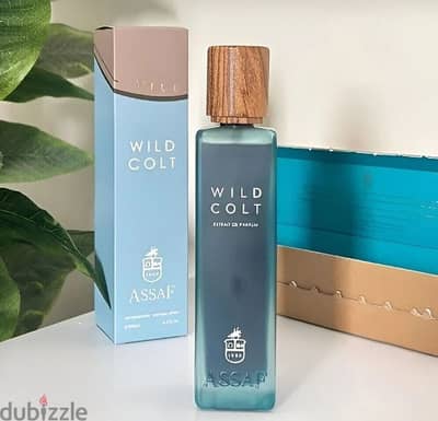 عطر wild colt من عساف السعودي جديد