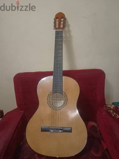 lucida guitar used