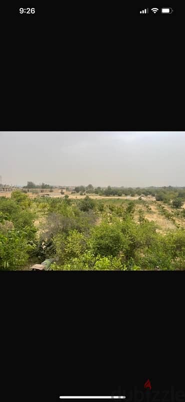 land for sale 0