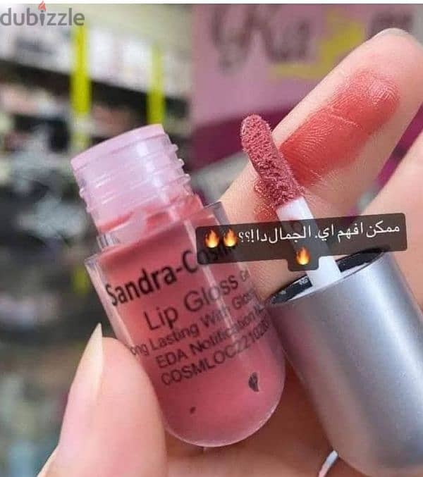 روچ mini sandra 4