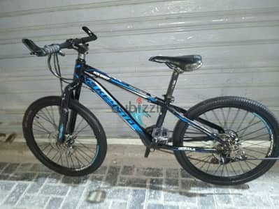 24" mountain bike