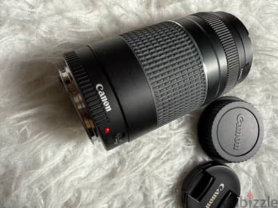 Canon 75-300mm f/4-5.6 Zoom Lens for Canon Cameras