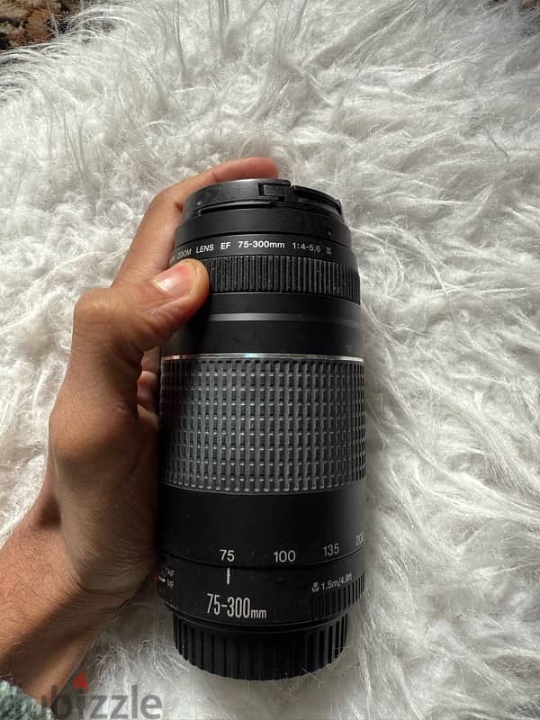 Canon 75-300mm f/4-5.6 Zoom Lens for Canon Cameras 1