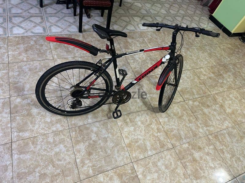 Trinx Free 1.4 bike 2