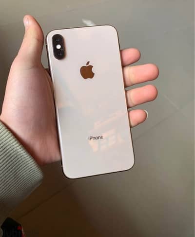 iPhone XS