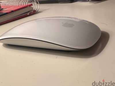 Magic Mouse with charger