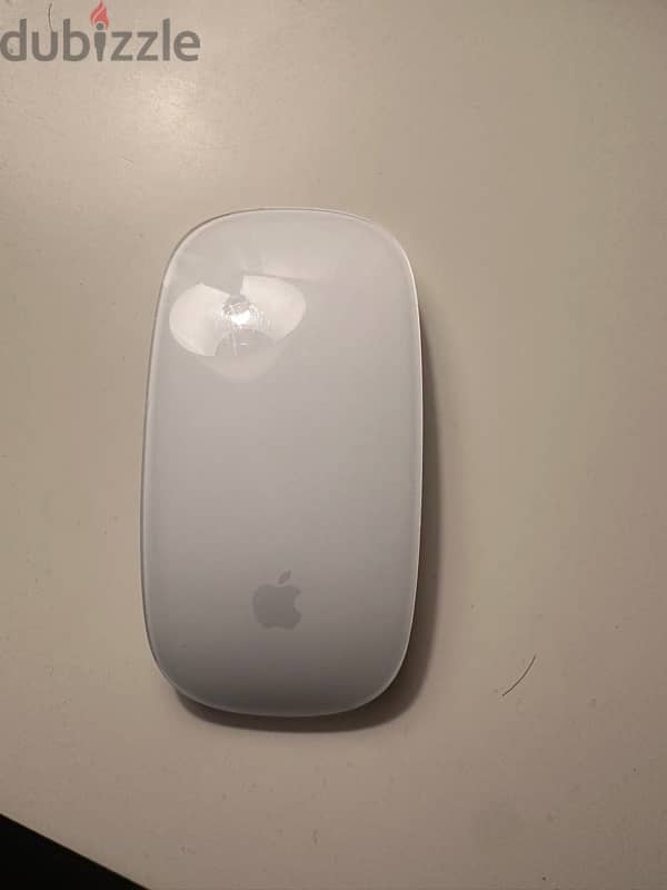 Magic Mouse with charger 1