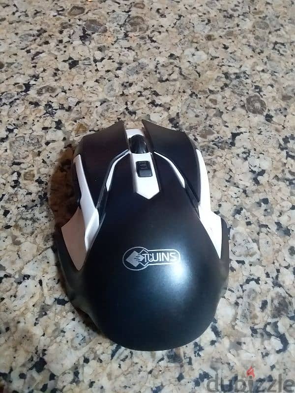 mouse 2