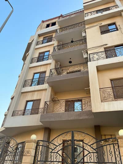 Delivered ground apartment fully finished in lotus new cairo