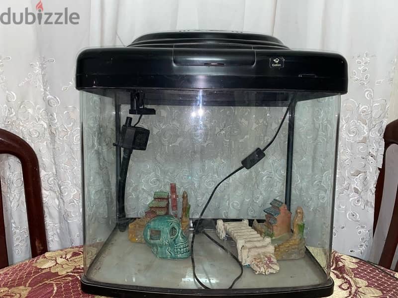 Fish Tank With Accessories 2