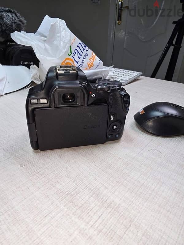 Canon 250D كسر كسر الزيرو استخدام شخصي 3