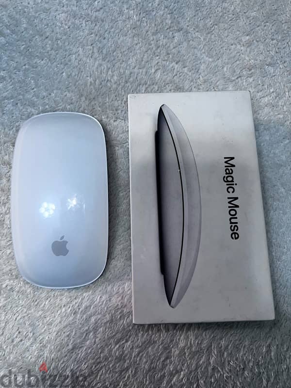 Magic Mouse 1