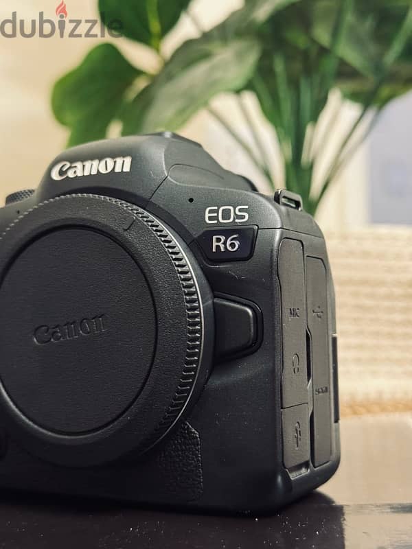 Canon R6 mark 1 3