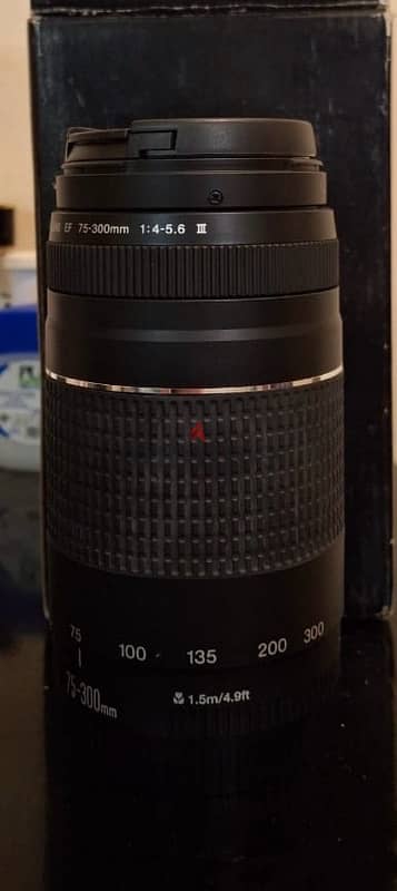 Canon EF 75-300mm f/4-5.6 III 1