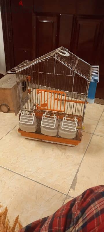 Bird cage