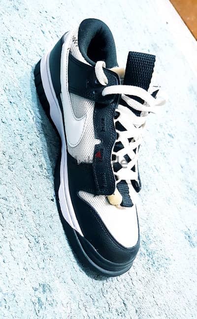 original  nike air dunk jumbo