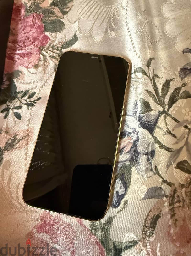 IPhone 12 Pro Max 256GB 2