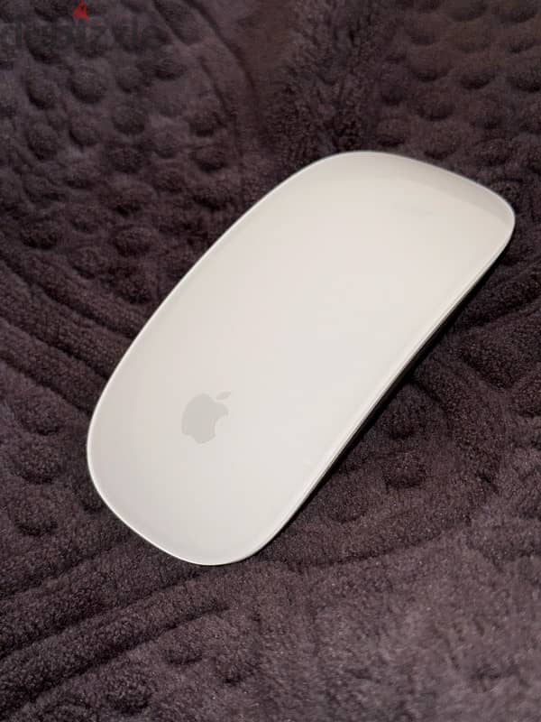 (New For Sale) Magic mouse ii 2