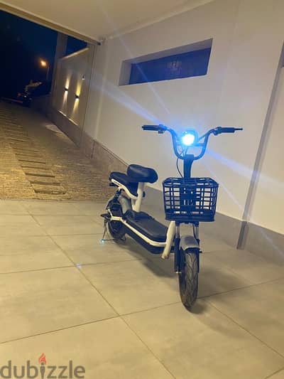 electric bike 1000 watt