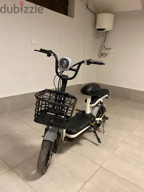 electric bike 1000 watt 1