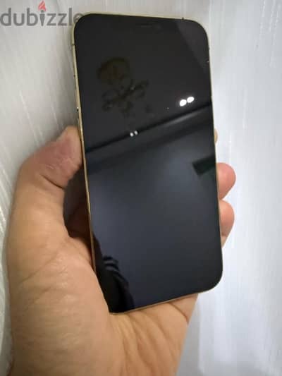 iphone 12 pro 265 g