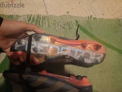 Adidas predator 2024