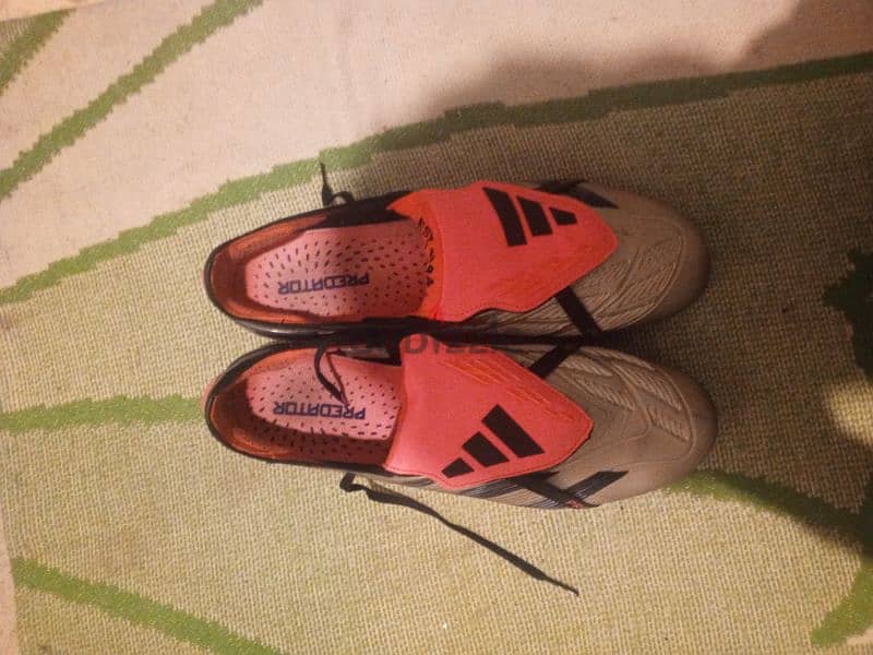 Adidas predator 2024 2