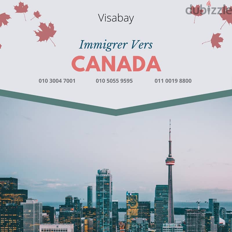 VISA & IMMIGRATION CONSULTANCY مكتب لاستشارات  الهجرة ة التاشيرات 4