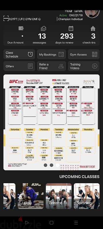 UFC gym