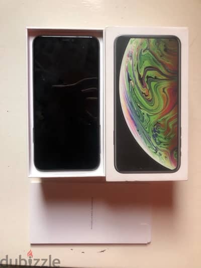 XS MAX 256g