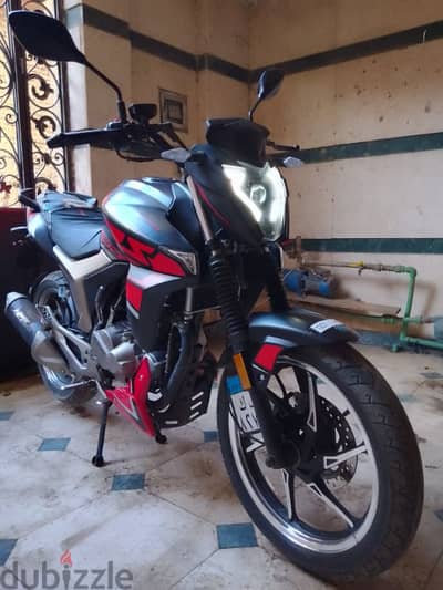 هوجن z250