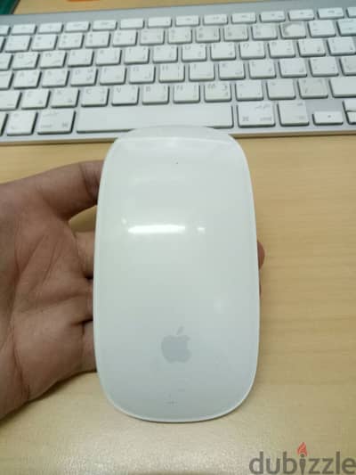 Mouse Apple Magic