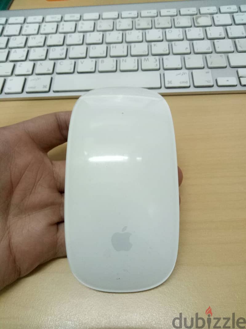 Mouse Apple Magic 0