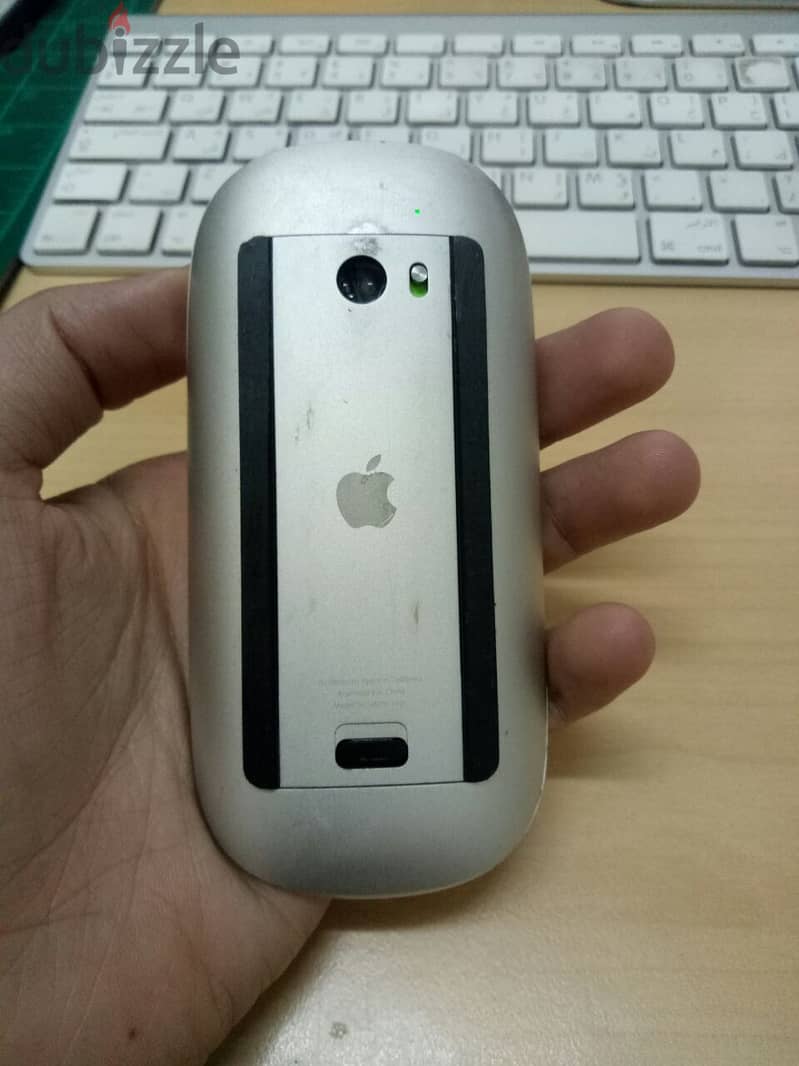 Mouse Apple Magic 1