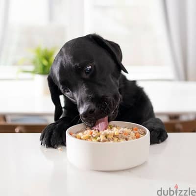 food for dogs and cats